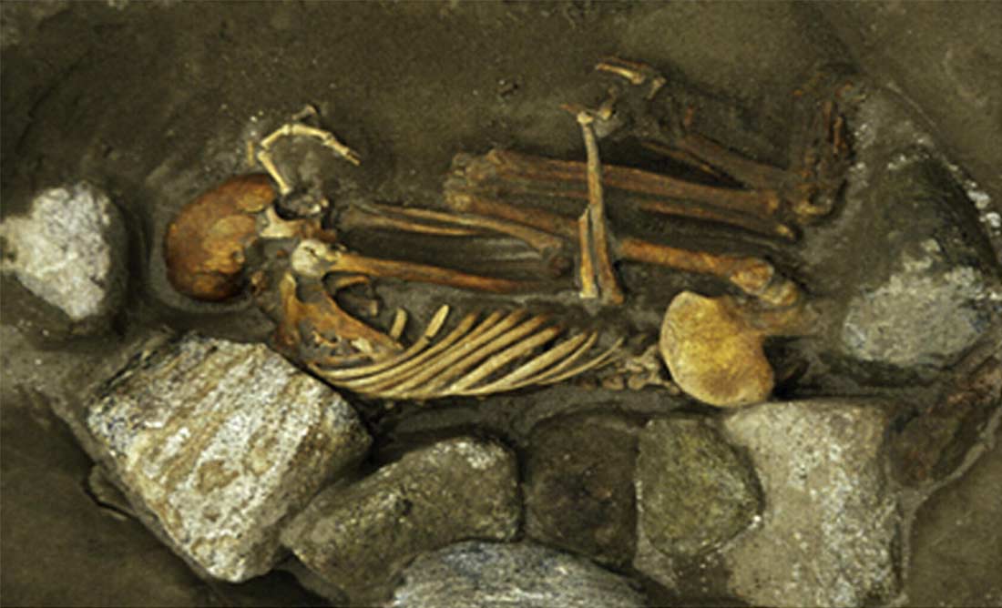 Британские учёные нашли мумии «Франкенштейна»Фото: livescience.com