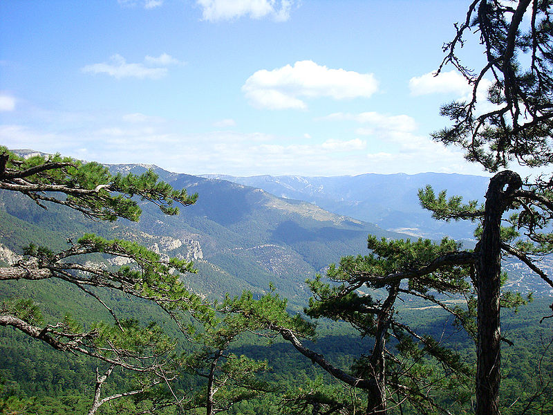 Ялтинський гірничо-лісовий природний заповідник. Фото: Alltre/ru.wikipedia.org