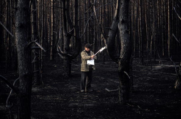 Чоловік робить заміри у Чорнобильському лісі. Фото: Patrick Landmann/Getty Images
