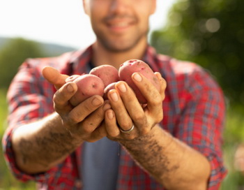 Не дивлячись на повсякденність картоплі, її цілком можна вважати природним дивом. Фото: Sonya Farrell/Getty Images