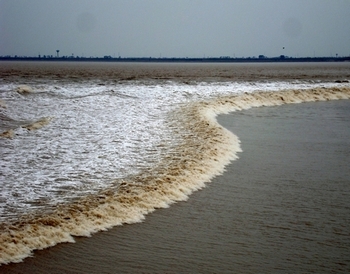 Воды реки Цяньтан сильно загрязнены. Фото: gwydionwilliams