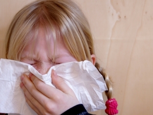 Более быстро проявились симптомы и у тех, кто страдает аллергией на домашнюю пыль. Фото:epochtimes.de