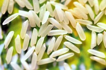 Рис — зернова культура для здоров’я та довголіття. Фото: kashevarechka.ru