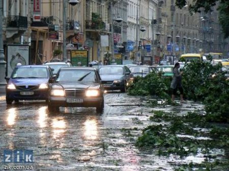 З будинків зірвало покрівлі, викорчувало чимало дерев, стовпів та рекламних щитів, потрощило автомобілі. Фото с sfw.datasvit.net