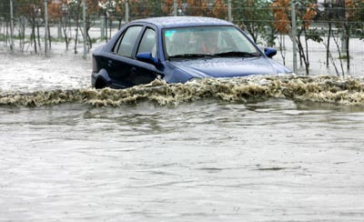 Фото: China Photos/getty Images 