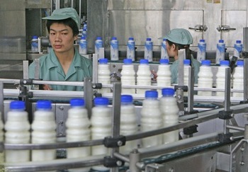 У Китаї знову виробляють «меламінові молочні продукти». Фото: MARK RALSTON / AFP / Getty Images