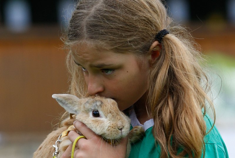 Меліса Байєр і її кролик на змаганнях вже втретє. Фото: Ralph Orlowski/Getty Images 
