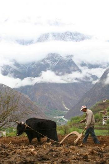 Доходи селян у Китаї значно нижчі, ніж у міських жителів. Фото: China Photos/Getty Images