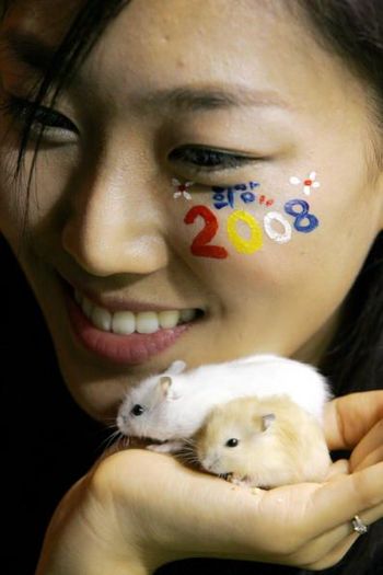 По китайскому лунному календарю 2008 г - это год мыши. Фото: Getty Images 