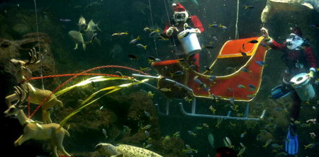 Джакарта, Індонезія: 17 грудня 2006 р. Переодягнений у костюм Санта Клауса водій підгодовує риб в акваріумі у Світовому морському океанаріумі м. Джакарти. У гігантському океанаріумі, в якому представлено відвідувачам більше 4000 видів риб і близько 300 ви