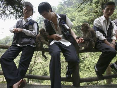 Фото: China Photos/Getty Images