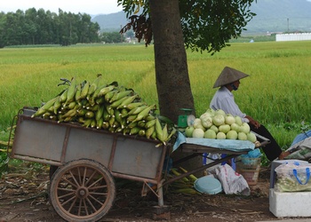 Дієта людей епохи палеоліту для здоров’я і зниження ваги. Фото: HOANG DINH NAM/AFP/GettyImages