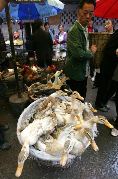 Фото: China Photos/Getty Images