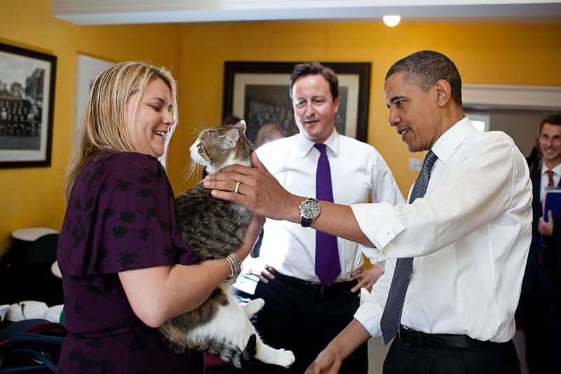 Прем'єр Британії (на задньому плані) звільнив головного кота-щуролова. Фото: Pete Souza/Білий Дім США