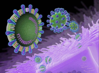 На Україну насувається новий штам грипу. Фото: dsesu.gov.ua