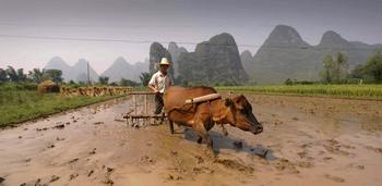 Крестьяне самая бедная и бесправная категория граждан в Китае. Фото: PETER PARKS/AFP/Getty Images