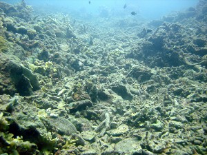 Зростаюча температура та кислотність можуть зашкодити морським рифам. Фото: Ove Hoegh-Guldberg/The University of Queensland