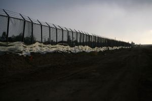 Ограда из колючей проволоки на границе между США и Мексикой. Фото: Chip Somodevilla/Getty Images