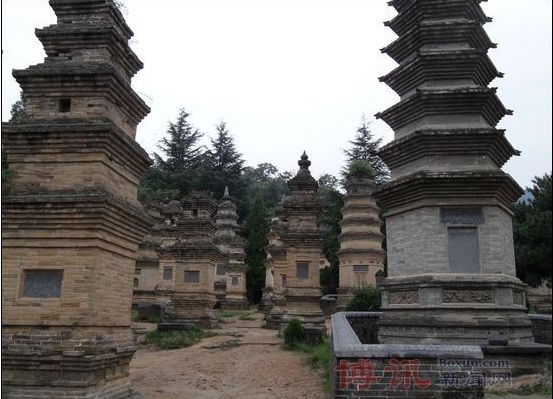 Ліс пагод монастиря Шаолінь (Талін). Фото: boxun.com