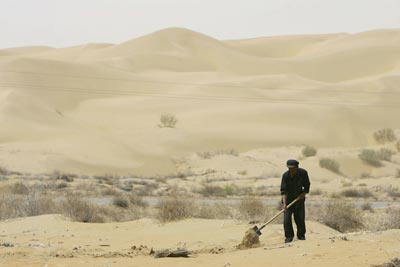 Фото: China Photos/Getty Images