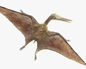 Птерозавр, тобто птахоящур, жив у Мексиці і розмах його крил складав 18 метрів Фото: Новини Світу