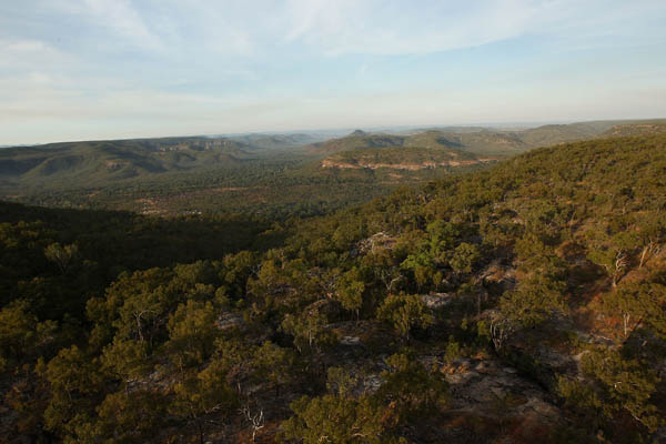 Австралийские наскальные рисунки. Фото: Mark Kolbe/Getty Images for Tourism Queensland