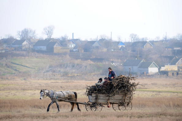 Лошадь везет телегу с ветками. Фото: SERGEI SUPINSKY / AFP / Getty Images