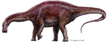 Научная иллюстрация 'Cathersaura', 20-ти метрового динозавра, который был найден аргентинскими  палеонтологами на участке Patagonic La Buitrera за 1300 км. от Буэнос-айреса. 'Cathersaura' жил 90 миллионов лет назад, он принадлежит к той же группе, что и е