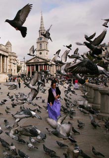 фото: Scott Barbour/Getty Images