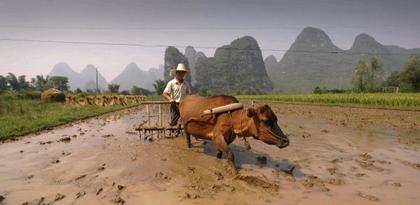 Если площадь пахотных земель в Китае станет меньше 126 млн. га, то последствия могут быть очень страшными. Фото с epochtimes.com