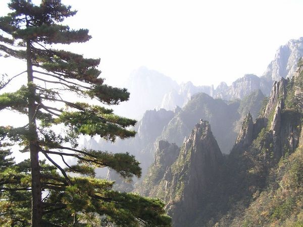 Гори Хуаншань («Жовті гори»). Фото із secretchina.com 