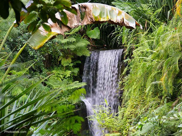 Тропічний ліс острова лемурів. Фото: zlagoda-tour.com.ua 