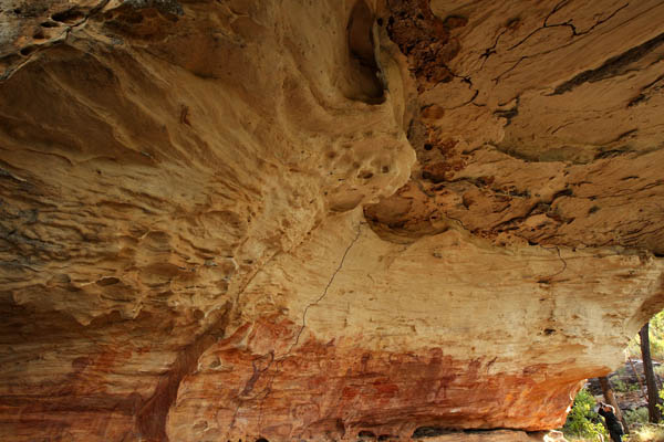 Австралийские наскальные рисунки. Фото: Mark Kolbe/Getty Images for Tourism Queensland