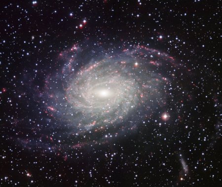 NGC 6744. Фото: www.eso.org