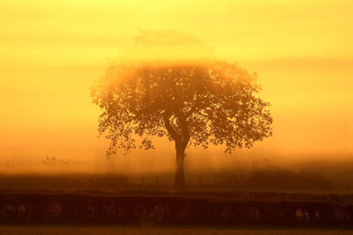 Фото: Christopher Furlong/Getty Images