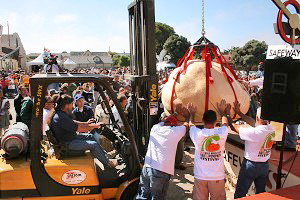 Под пристальным вниманием членов сельскохозяйственной комиссии округа Сан Матео огромную тыкву помещают на электронные весы грузоподъемностью 5 тонн. Фото: Рой Макдауэл/Великая Эпоха