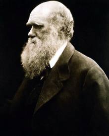 Чарльз Дарвін, автор еволюційної теорії (фото: Julia Margaret Cameron)