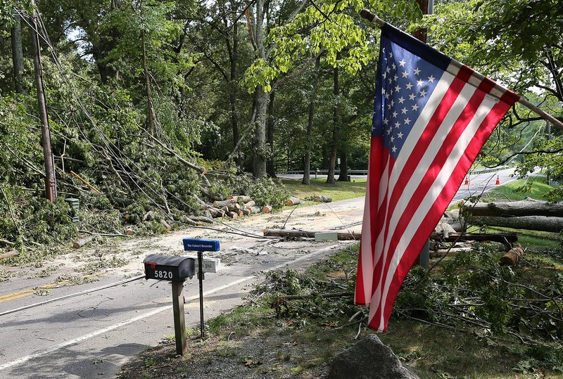 Повалені дерева та стовпи електропередач в Меріленді, США. Фото: Mark Wilson / Getty Images