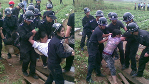 Полицейские забирают крестьян, пытающихся защитить свою землю. Провинция Фуцзянь. Январь 2011 год. Фото: FRA
