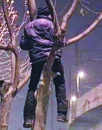 Парню, который не смог найти работу и оплачивать проживание, ничего не оставалось, как поселился на дереве. Фото с epochtimes.com