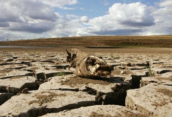 Засуха в Китае стала самой сильной за 60 лет. Фото: Jonathan Wood/Getty Images