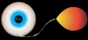 Нейтронная звезда с аккреционным диском (слева) питается веществом звезды-компаньона (справа). Рисунок Bill Saxton//NRAO/AUI/NSF