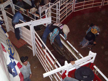 Оседлаешь? Катание на быках в «Билли Бобс», г. Форт-Уорт, шт. Техас. Фото: Терри Хирш