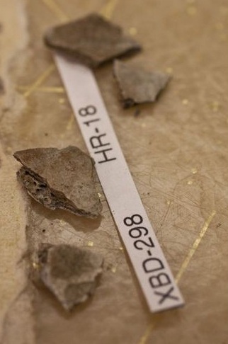 На Алясці археологи знайшли останки найдревнішої людини. Фото: adn.com
