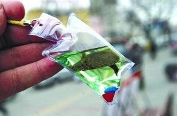 «Брелок счастья» — запаянная в целлофан с водой живая черепаха. Фото с epochtimes.com