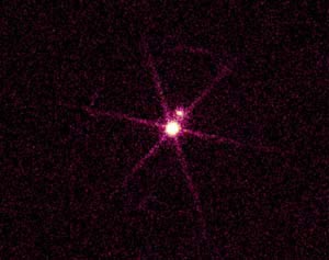 Рентгеновский снимок системы звезд Сириус, сделанный из космической обсерватории Чандра. Более яркий источник на фото - звезда Сириус В, представляющая собой белый карлик. Фото: NASA