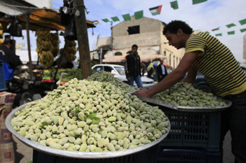 Свіжий мигдаль. Фото: MOHAMMED ABED/AFP/Getty Images