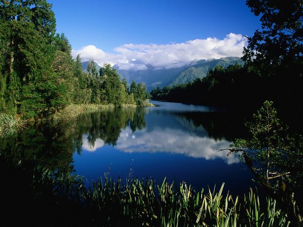 Виды Новой Зеландии (New Zealand). Фото: Клипарт