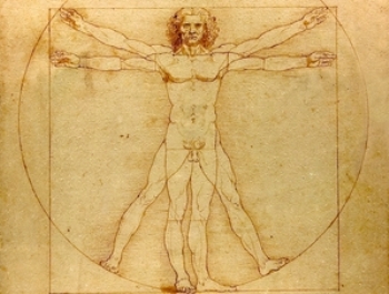 Человеческое тело, как чудесное творение, непостижимо даже современной наукой. Автор: Леонардо да Винчи