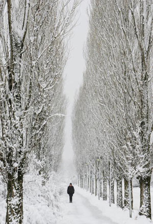 Заснеженная улица в Унтерхачинге (Unterhaching), Германия Фото: Sandra Behne/Getty Images 